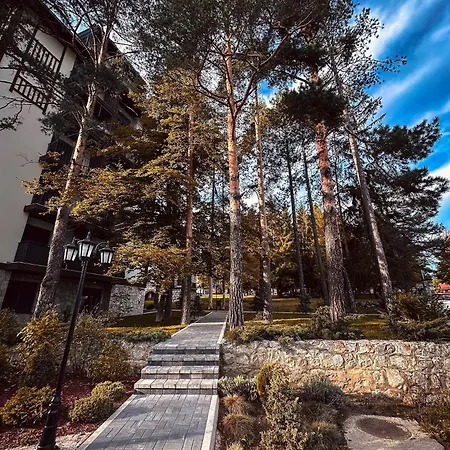 Jazz Titova * Zlatibor