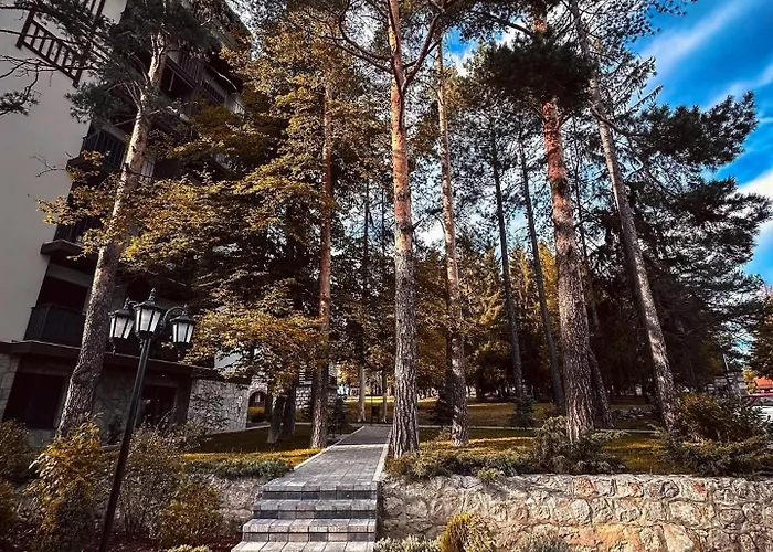 Jazz Titova * 즐라티보