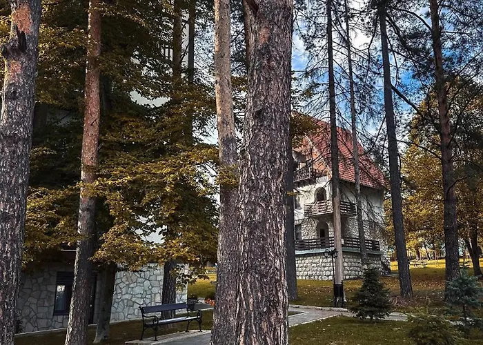 Jazz Titova 즐라티보